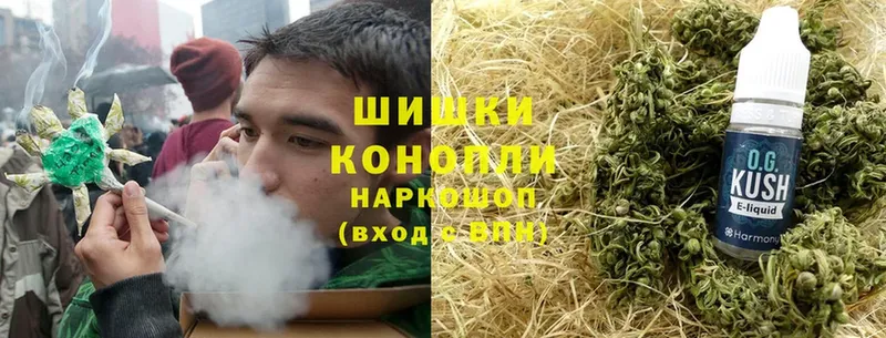 Канабис план  как найти наркотики  Томск 